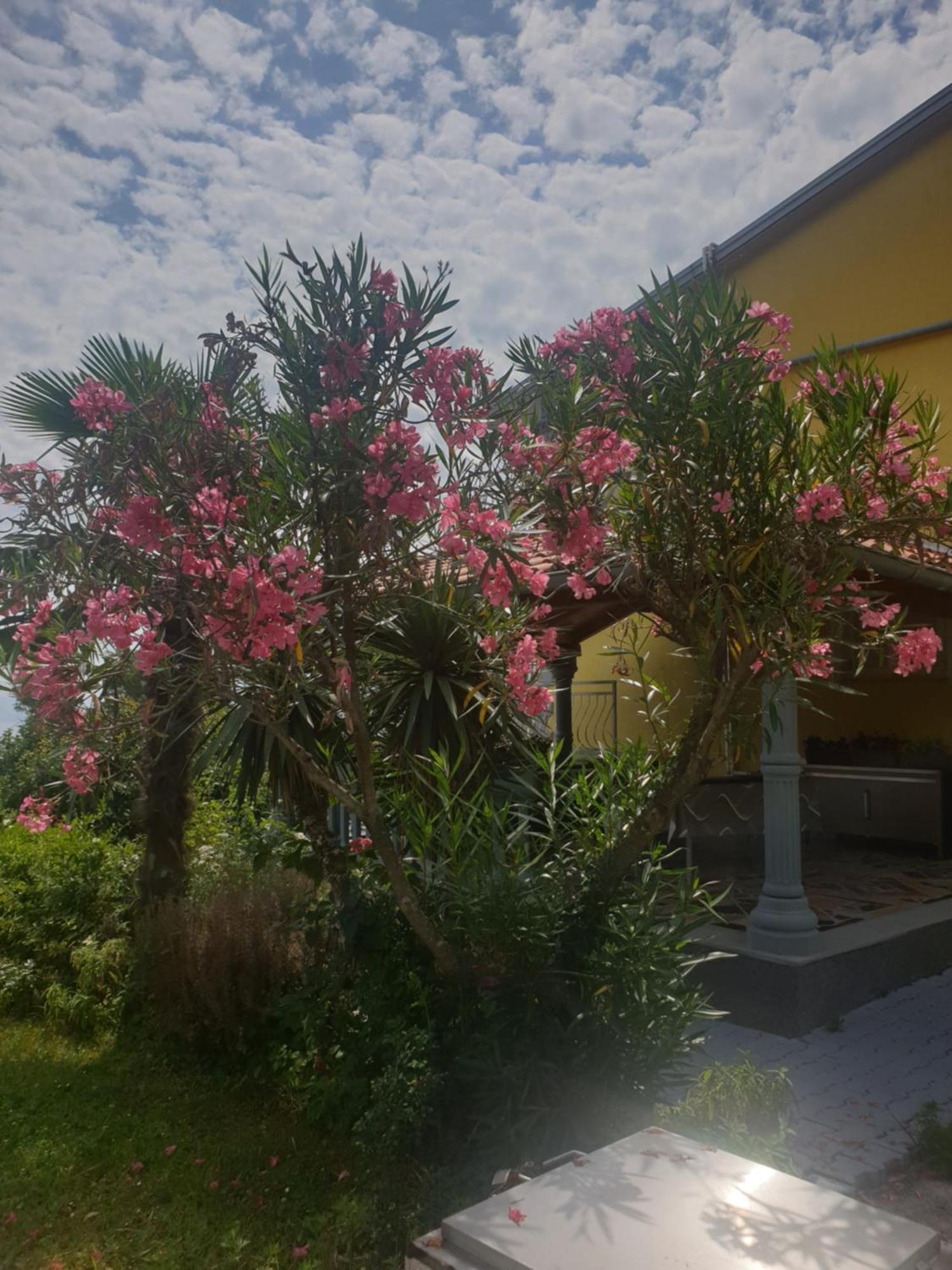Apartmani Adria Opatija Exterior foto
